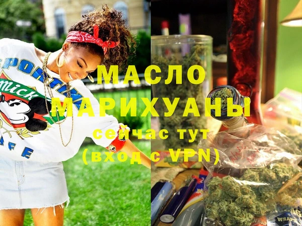 индика Вяземский