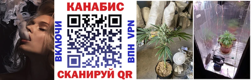 kraken как войти  Тихвин  Марихуана сатива  где найти наркотики 